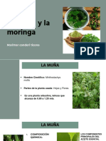 Exposicion de Muña y Moringa