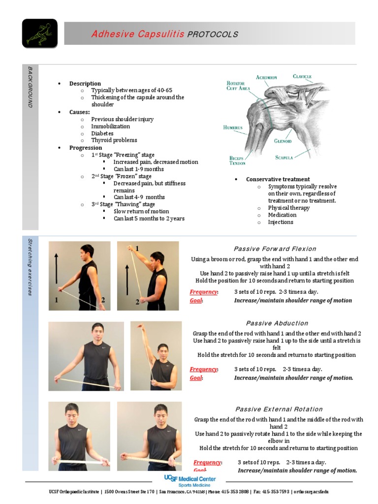 Adhesive Capsulitis Protocol PDF Anatomical Terms Of Motion Shoulder