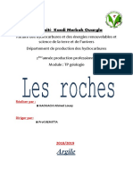 TP-ROCHES-Louay