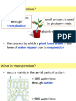 Chapter 11 Transpiration Transport and Support in Plants
