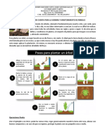 Guía para La Simbra de Árbol