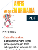 Anfis Perkemihan