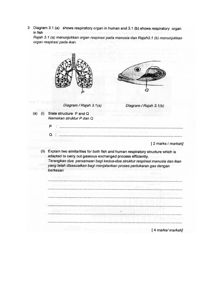 Exercise 7 | PDF