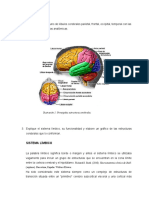 2 Trabajo Neuropsicologia