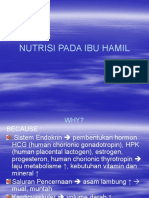 NUTRISI UNTUK IBU HAMIL