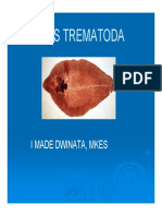 Trematoda