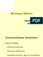 Micología Médica: Odontologia 2020-I