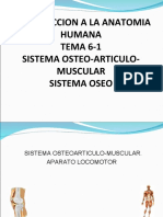 135878366-6-1-SISTEMA-OSTEOARTICULO-MUSCULAR-OSEO-ppt