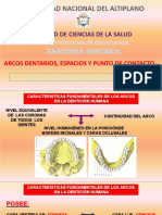 Arcos Dentarios, Espacios y Punto de Contacto