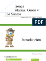 Formaciones Sed. Girón y Los Santos - Ámbar Zapata