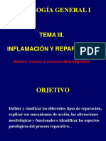 patologia_general_conferencia_6_inflamacion_y_reparacion