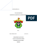 RMK Kompetensi-Kompetensi Auditor Internal (Tria Nurdayanti - A031181311)