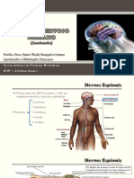 AT 03 - Anatomia Do Sistema Nervoso - Parte 2