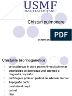 Chisturi Pulmonare