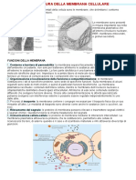 3. Struttura Della Membrana Cellulare(1)