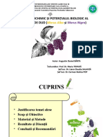 Profilul Fitochimic Și Potențialul Biologic Al Fructelor de Dud (Morus Alba Și Morus Nigra)