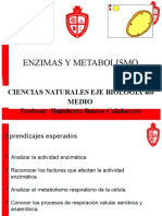 Clase - PTU - N°6 - Enzimas y Metabolismo Celular