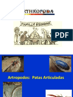 Artropodos - Introducción Presentacion