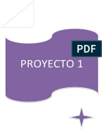 Proyecto 1