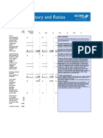 Financial History & Ratios: Enter Your Company Name Here