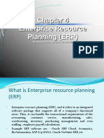Chapter 4 ERP