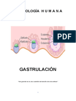 Gastrulación humana: Formación del disco germinativo trilaminar