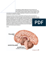 Tarea de Anatomia Hipo