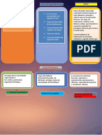 Teoria Del Dessarrolo Humano