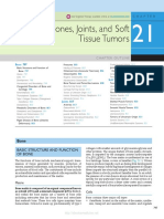 Targeted Therapy for Bone, Joint and Soft Tissue Tumors