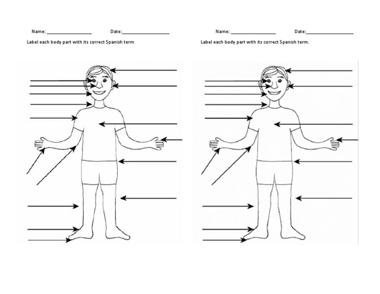 Labeling Body Parts Spanish Quiz PDF