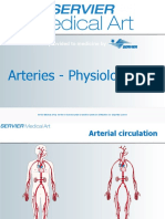 Arteries - Physiology: A Service Provided To Medicine by A Service Provided To Medicine by