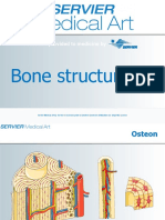 Bone Structure: A Service Provided To Medicine by A Service Provided To Medicine by
