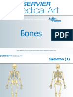 Bones: A Service Provided To Medicine by A Service Provided To Medicine by
