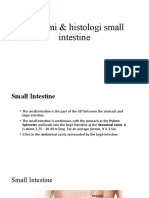 Anatomi & Histologi Small Intestine