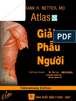Atlas - Atlas Giai Phau Nguoi, Netter
