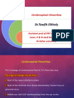 DR - Tawfik Elkholy: Cerebrospinal Rhinorrhea