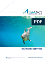 AMMPA DolphinFactSheet SPANISH WEB