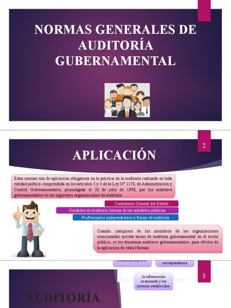 Normas Generales de Auditoria Gubernamental | PDF | Auditoría | Contralor