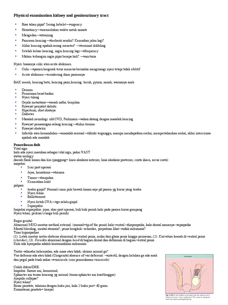 Physical Examination Kidney and Genitourinary Tract PDF