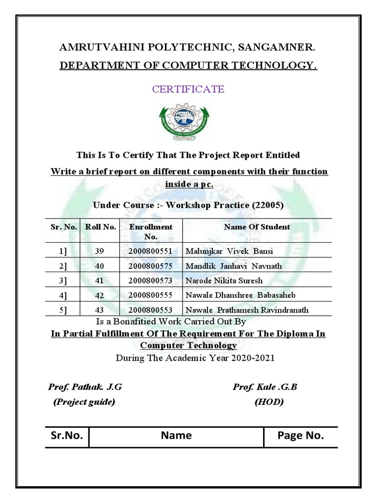 WPC Project Report for Computer Diploma | PDF