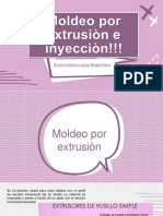 Moldeo Por Inyeccion y Extrusion