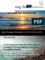 The Black Sea Biodiversity FINAL