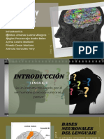 Cerebro y Lenguaje