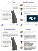 Friendly Felines: Quick Questions
