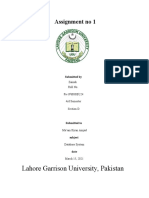 Lahore Garrison University, Pakistan: Assignment No 1