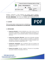 PRG-SST-005 Programa de Inspecciones Amba