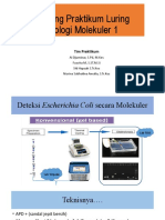 Briefing Praktikum Luring Biologi Molekuler 1