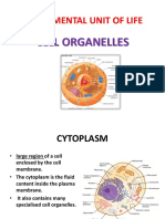 Class - Ix - Cell Organelles