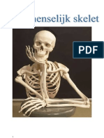 Het menselijk skelet algemeen