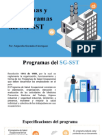 Programas y Subprogramas Del SG-SST